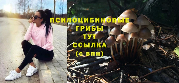 МДПВ Киренск