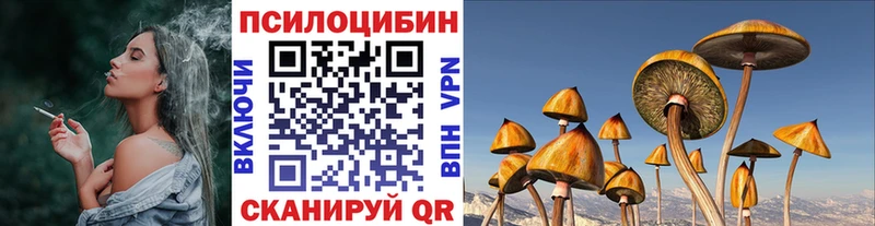 Купить Волжский Псилоцибиновые грибы Magic Shrooms